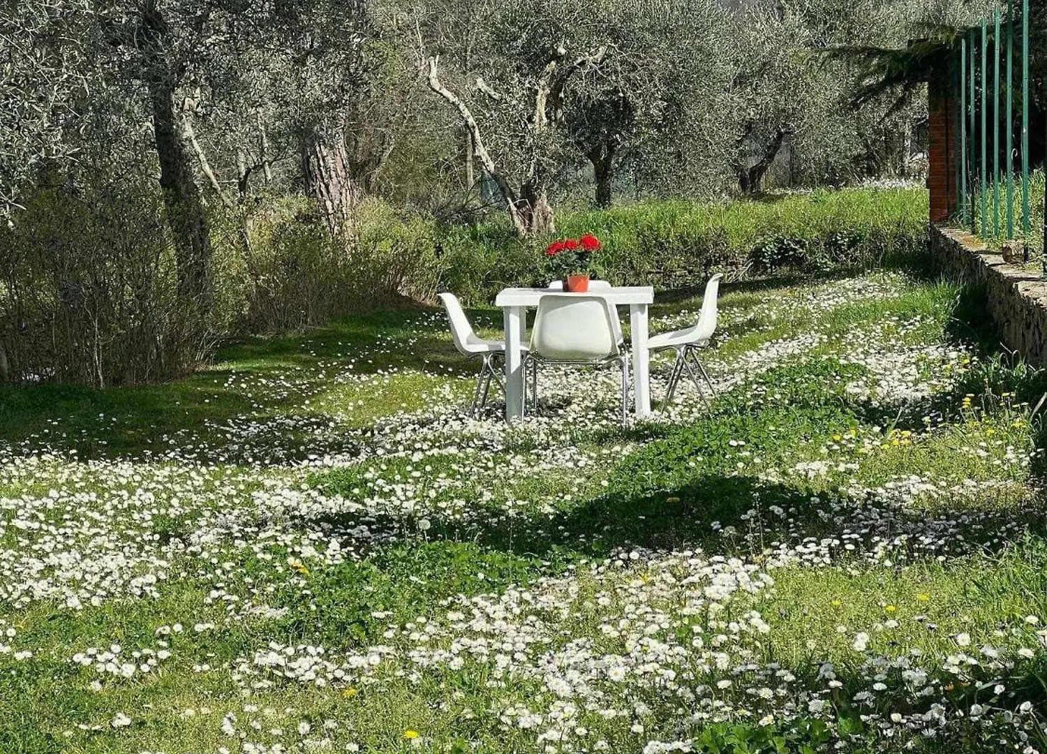 Appartamenti Casa Podere San Firenze San Firenze - Fonte Di Sala İtalya